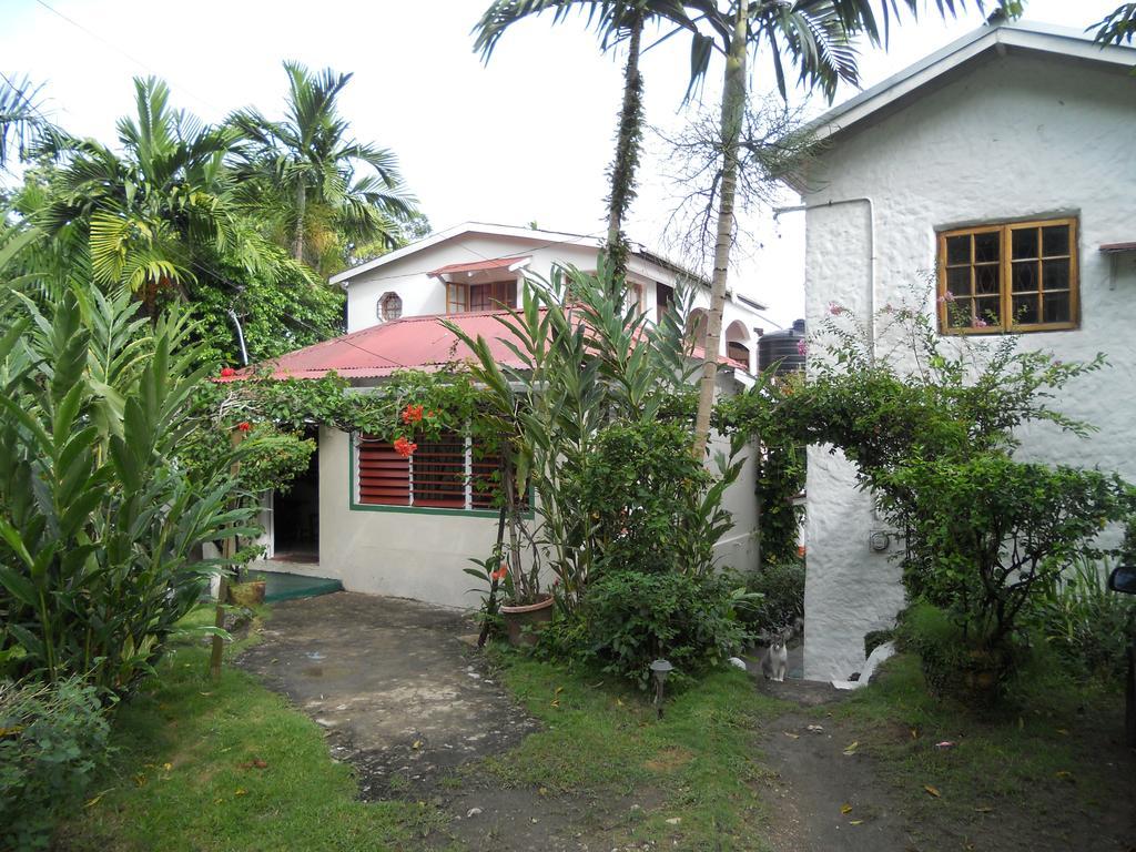 Drapers San Guest House Port Antonio Exterior foto