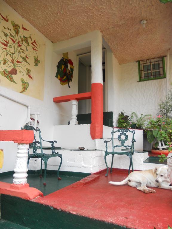 Drapers San Guest House Port Antonio Exterior foto