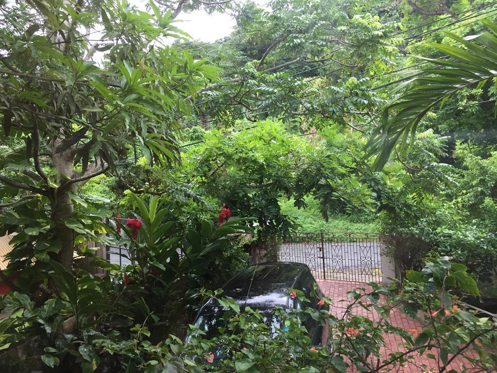 Drapers San Guest House Port Antonio Exterior foto